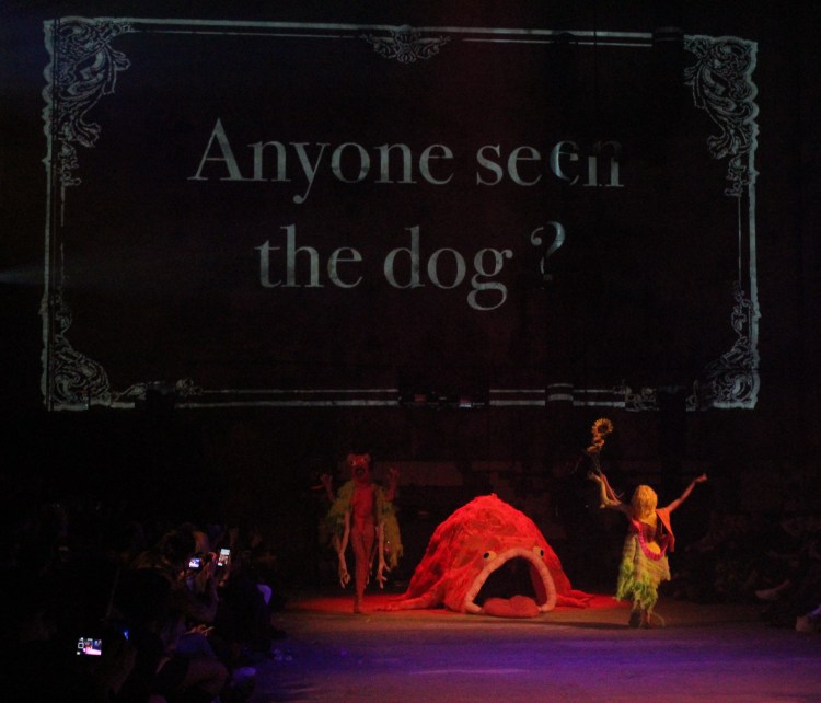 bafw17 edayorulmazoglu 10